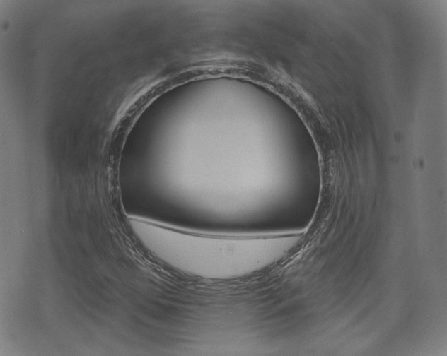 X0000072941352200607210857