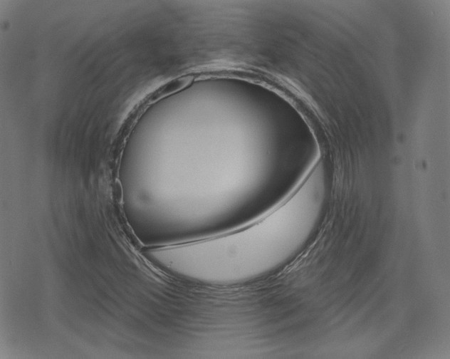 X0000072941356200607210857