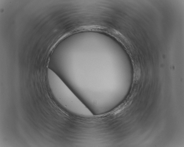 X0000072941361200607210857