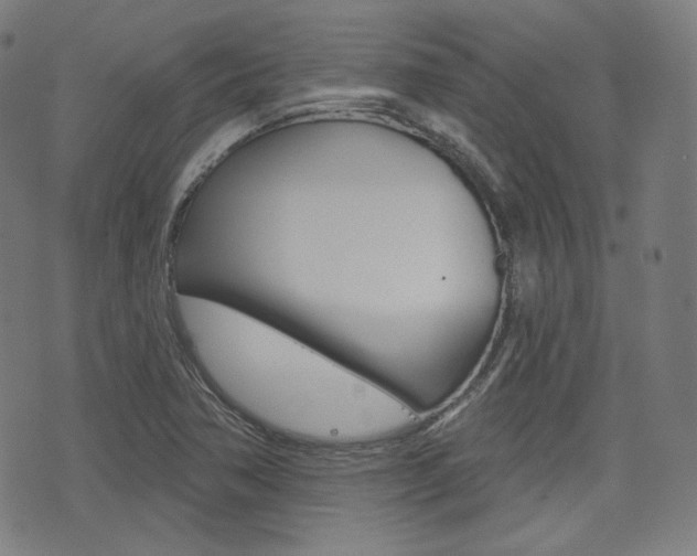X0000072941362200607210857