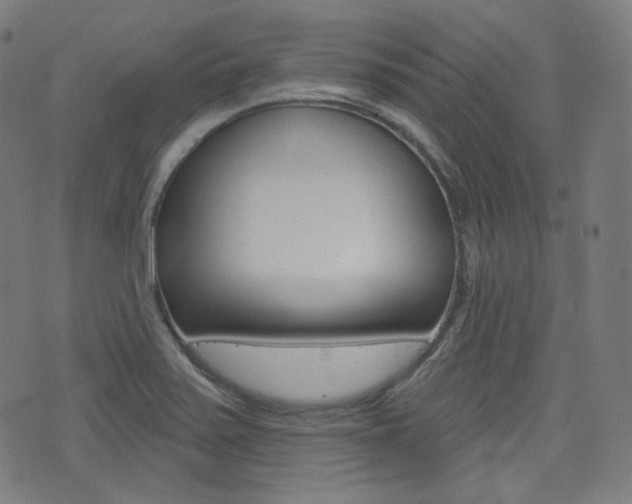X0000072941371200607210856