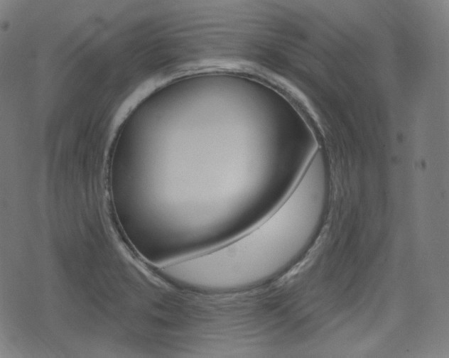 X0000072941373200607210856