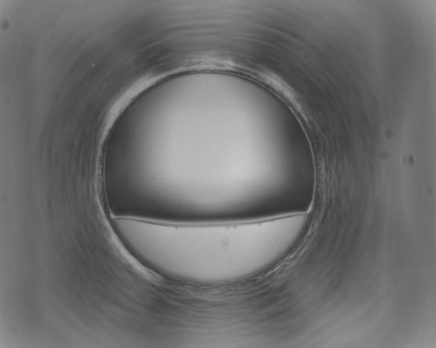 X0000072941379200607210856