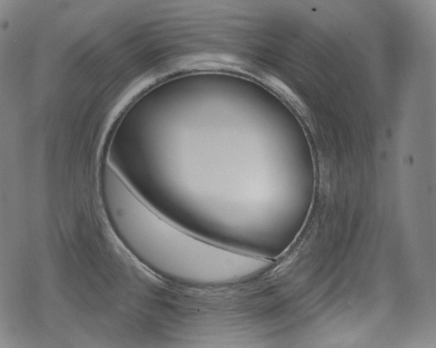 X0000072941384200607210856