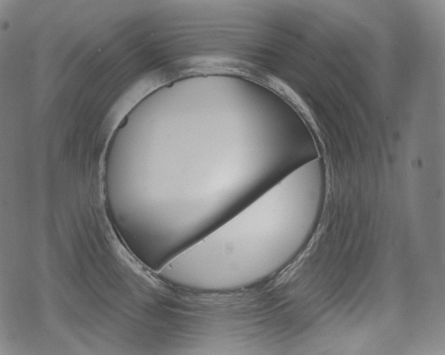 X0000072941386200607210856