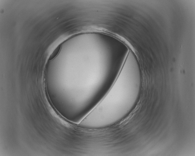 X0000072941387200607210856