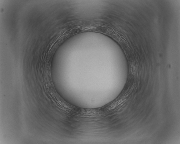 X0000072941393200607210855