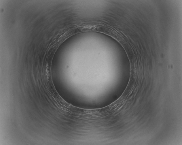 X0000072941394200607210855