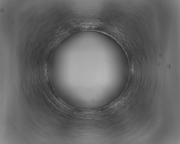 X0000072941396200607210855