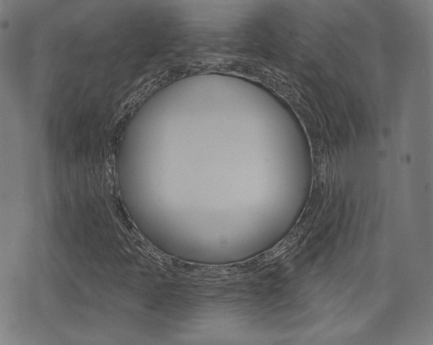 X0000072941397200607210855