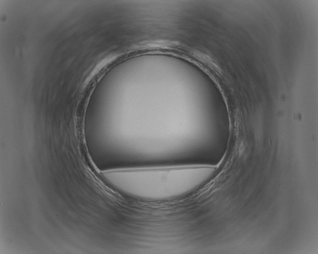 X0000072941404200607210856