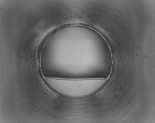 X0000072941408200607210856