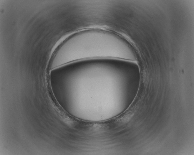 X0000072941412200607210856