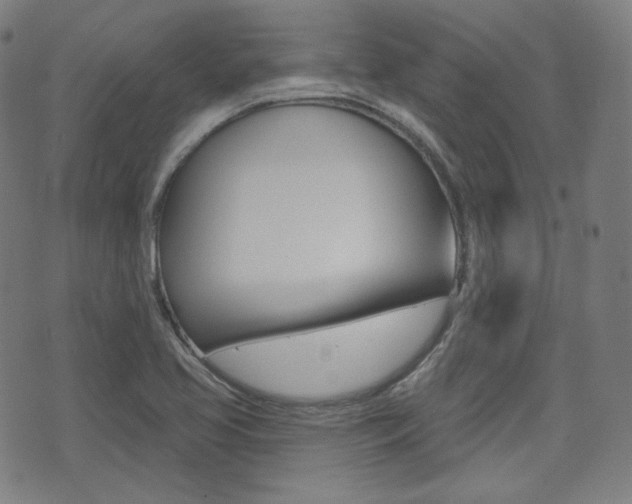 X0000072941413200607210856