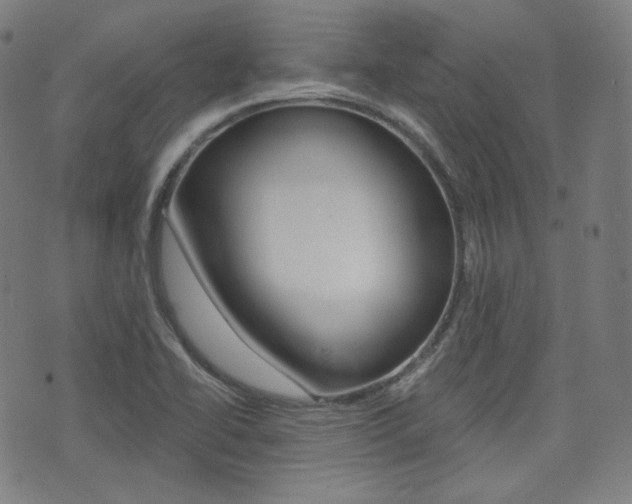 X0000072941414200607210856