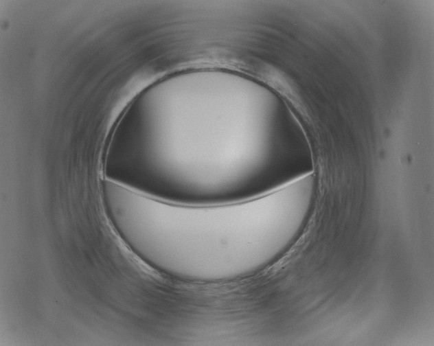X0000072941428200607210856