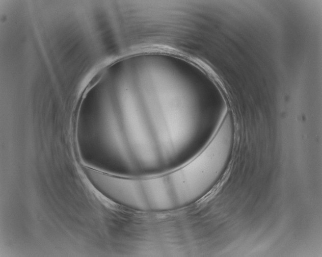 X0000072941438200607210856