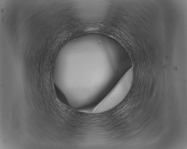 X0000072941441200607210855
