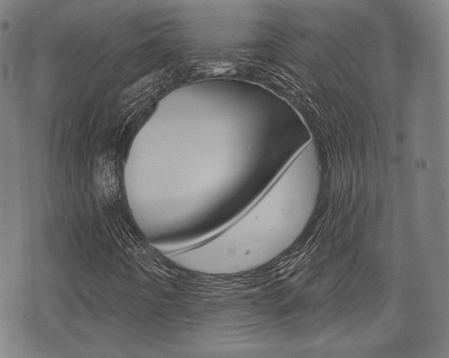 X0000072941442200607210855