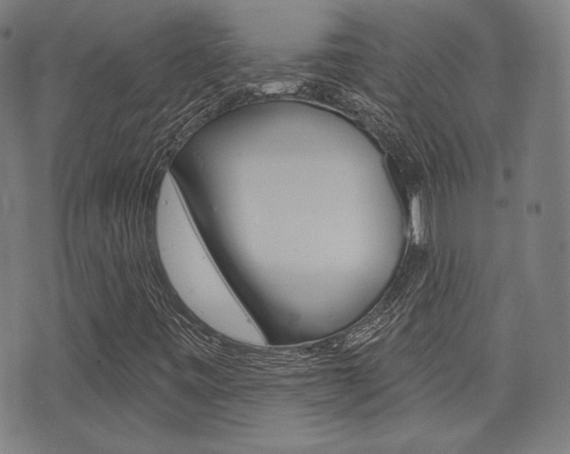 X0000072941443200607210855