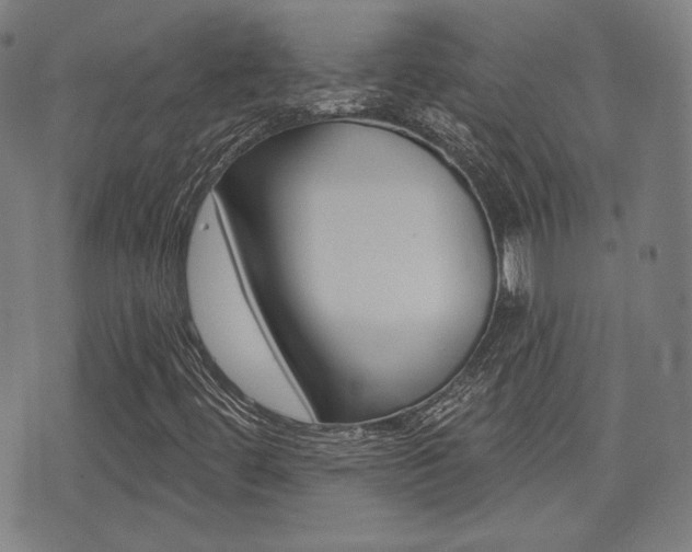 X0000072941444200607210855