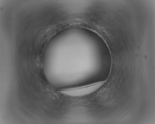 X0000072941445200607210855