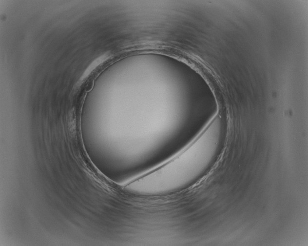 X0000072941450200607210855