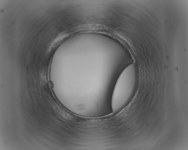 X0000072941451200607210855