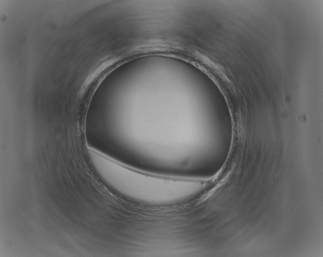 X0000072941453200607210855