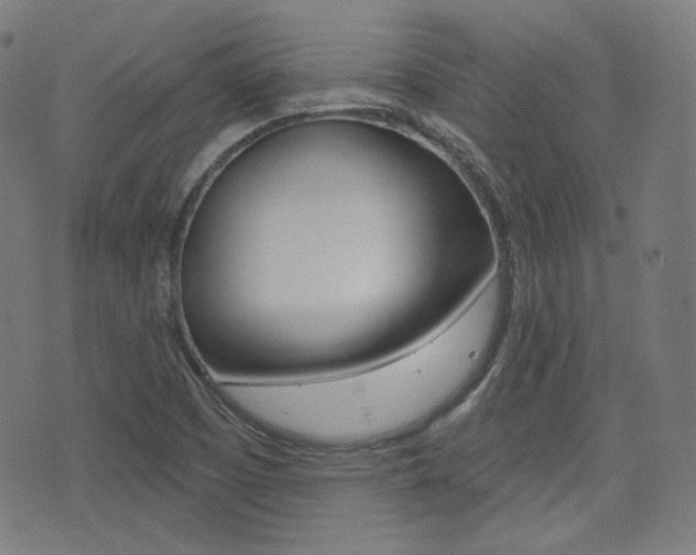 X0000072941457200607210855