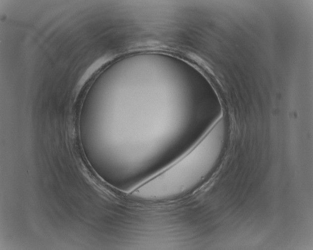 X0000072941458200607210855