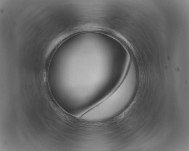 X0000072941461200607210855