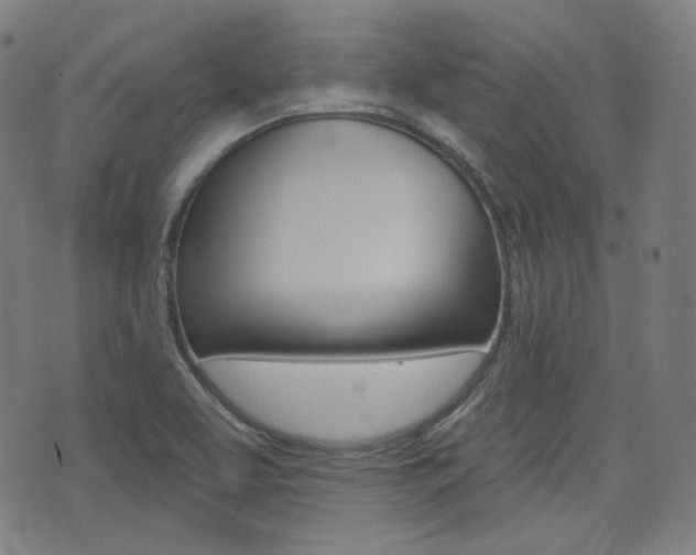 X0000072941463200607210855