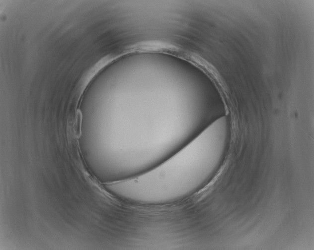 X0000072941473200607210855