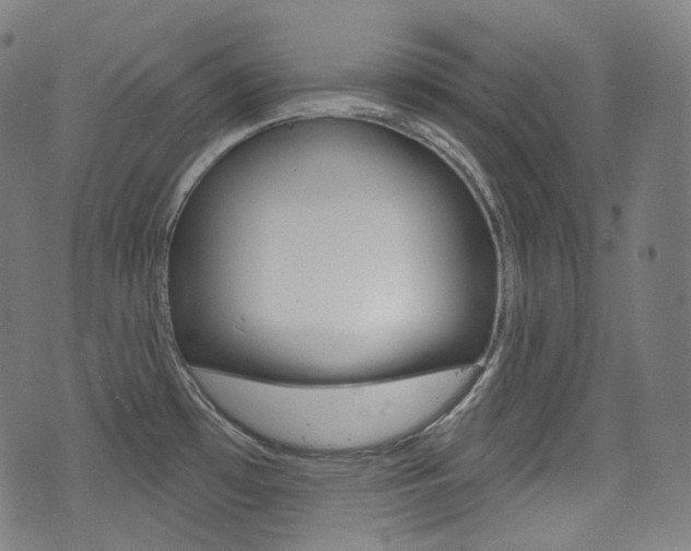 X0000072941481200607210855