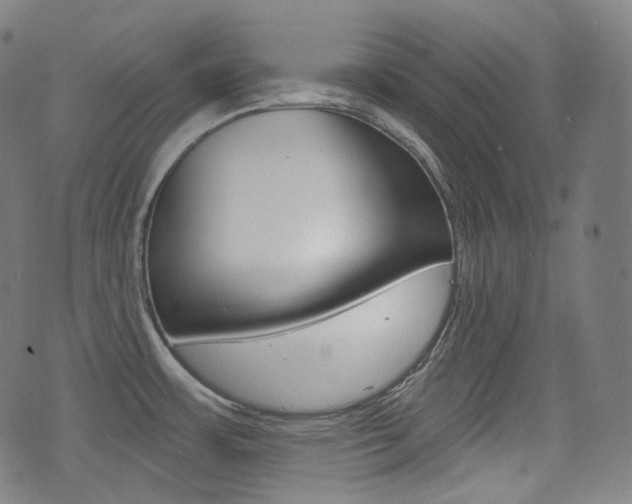 X0000072941483200607210855