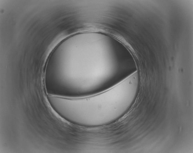 X0000072941484200607210855