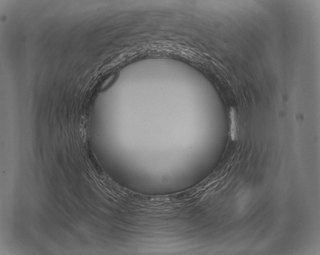 X0000072941491200607210854