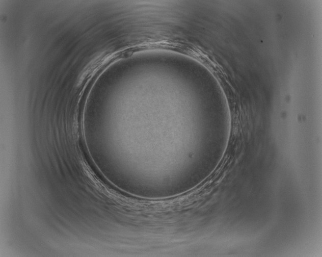 X0000072940002200607211113