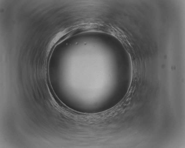 X0000072940003200607211113