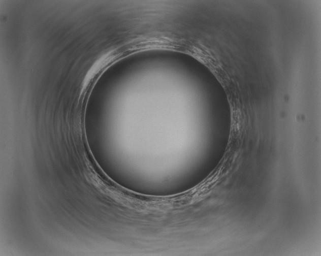 X0000072940004200607211113