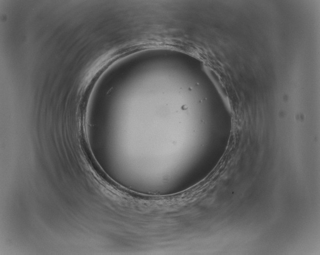 X0000072940005200607211113