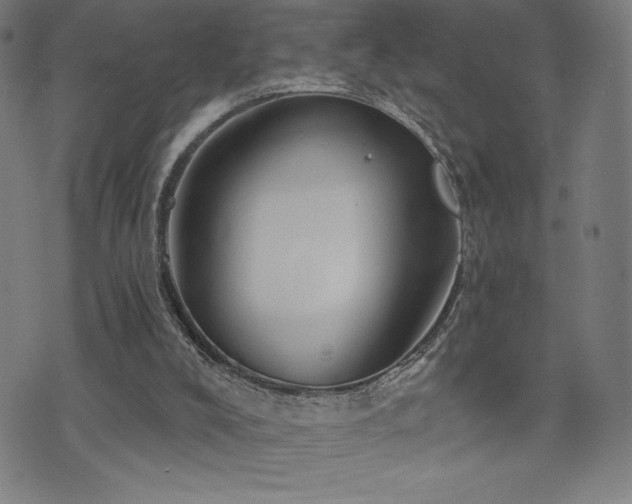 X0000072940008200607211113