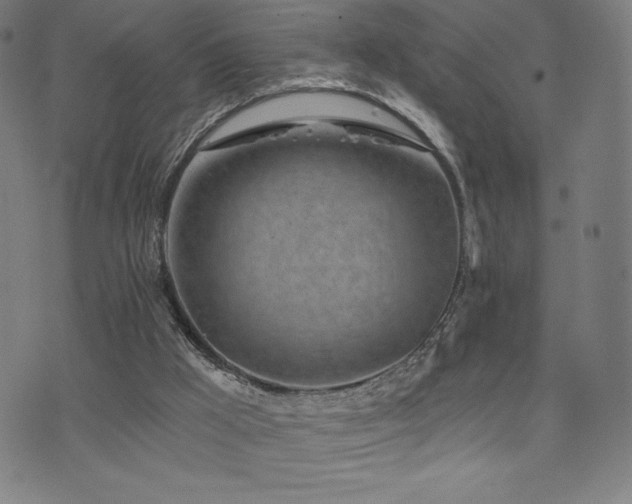 X0000072940009200607211113