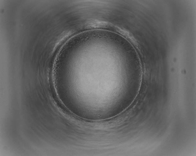 X0000072940010200607211113