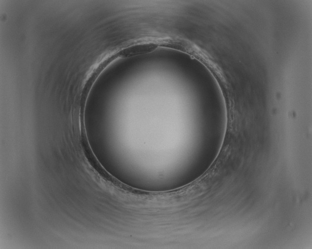 X0000072940011200607211113