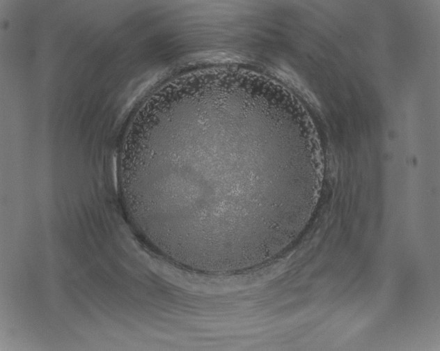 X0000072940014200607211113