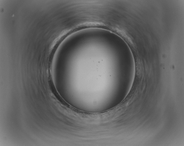 X0000072940015200607211113