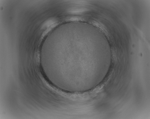 X0000072940016200607211113