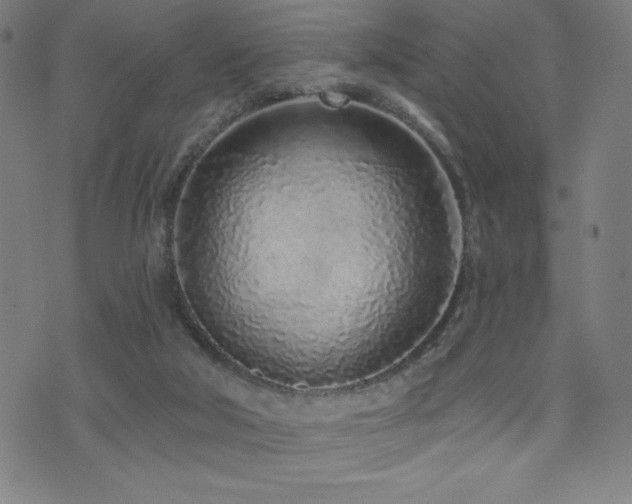 X0000072940018200607211113